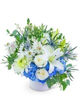 Standard size, 13 inches height and 13 inches wide.