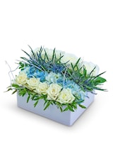 Premium size,  inches height and  inches wide.