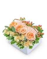 Standard size, 8 inches height and 8 inches wide.