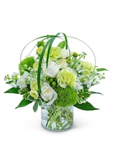 Premium size,  inches height and  inches wide.