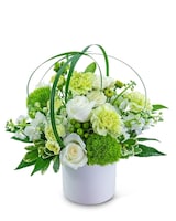 Standard size, 12 inches height and 12 inches wide.