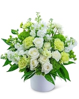 Standard size, 17 inches height and 15 inches wide.