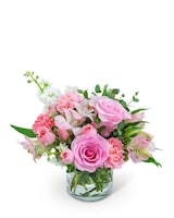 Standard size, 12 inches height and 10 inches wide.
