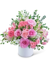 Standard size, 18 inches height and 18 inches wide.