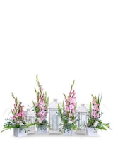 Standard size,  inches height and  inches wide.