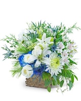 Standard size, 17 inches height and 16 inches wide.