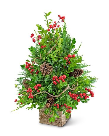 Berries & Cones Boxwood Tree Flower Arrangement