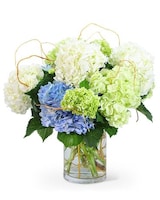 Standard size, 14 inches height and 10 inches wide.