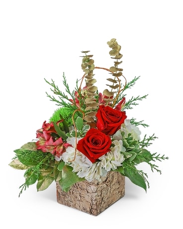 Noel Peace Flower Arrangement