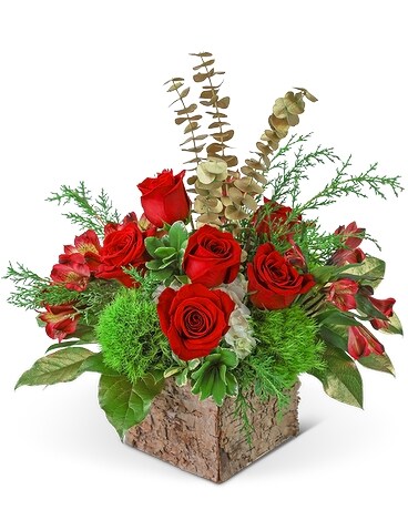 Noel Wonder Flower Arrangement