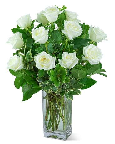 White Roses (12) Flower Arrangement