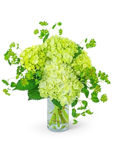 Green Glow Flower Arrangement