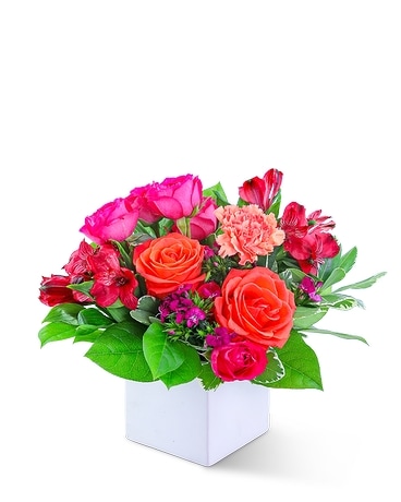 Daiquiri Flower Arrangement