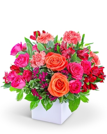 Daiquiri Daydream Flower Arrangement