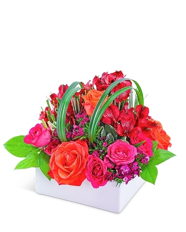 Daiquiri Delight Flower Arrangement