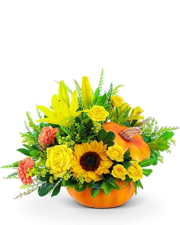 Seasonal Sunkiss Pumpkin Flower Arrangement