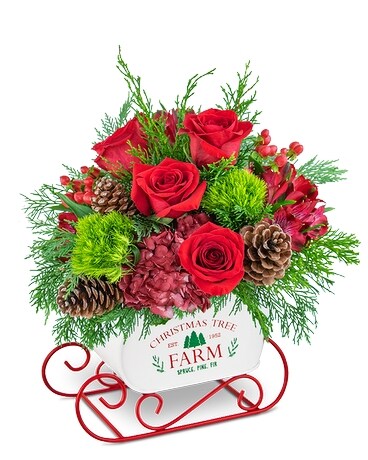 Festive Cranberry Keepsake Sleigh Flower Arrangement