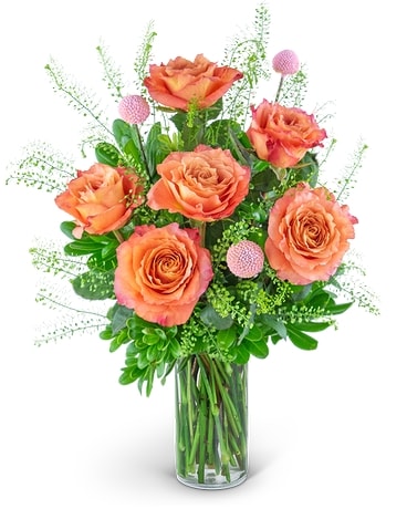 Half Dozen Free Spirit Rose Symphony Flower Arrangement