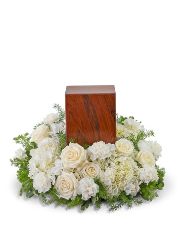 Etrarium 1st Anniversary 記念 BOX【PLANT】 Meadows of Memories (T250-1A) in Dallas TX - Petals & Stems
