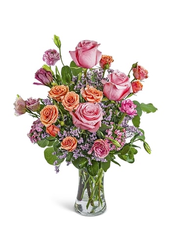J.GARDEN J庭 ベルトゥーン beltoon ポストカード　７枚セット Get Well Delivery Ballston Spa NY - Dehn's Flowers & Gifts