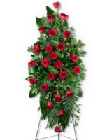Standard size, 40 inches height and 20 inches wide.