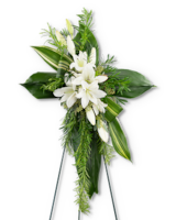 Deluxe (As Shown) size, 36 inches height and 23 inches wide.
