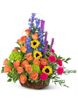 Deluxe (As Shown) size, 31 inches height and 26 inches wide.
