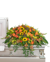 Deluxe (As Shown) size, 15 inches height and 42 inches wide.