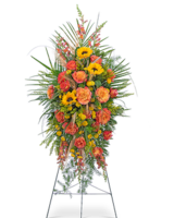 Premium size, 44 inches height and 20 inches wide.