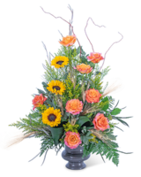 Deluxe (As Shown) size, 36 inches height and 18 inches wide.