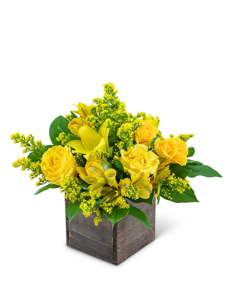 Sweet Honey in Harrisonburg VA - Blakemore's Flowers