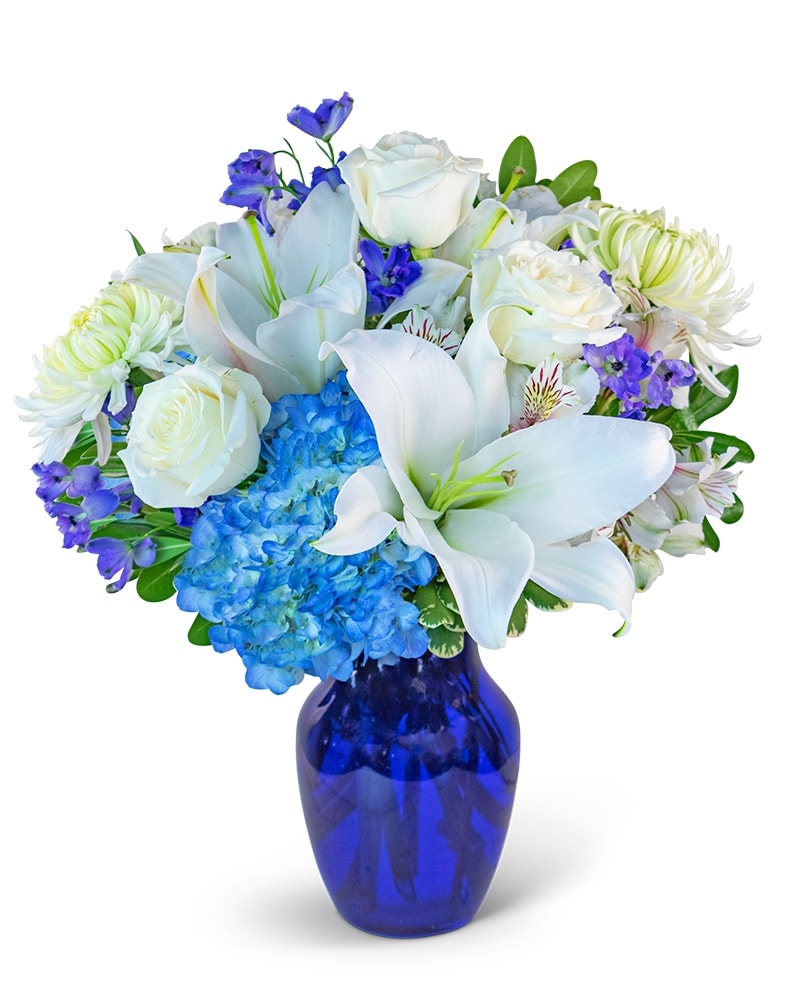 Nothing But Blue Skies in Alexandria & Pineville, LA | House of