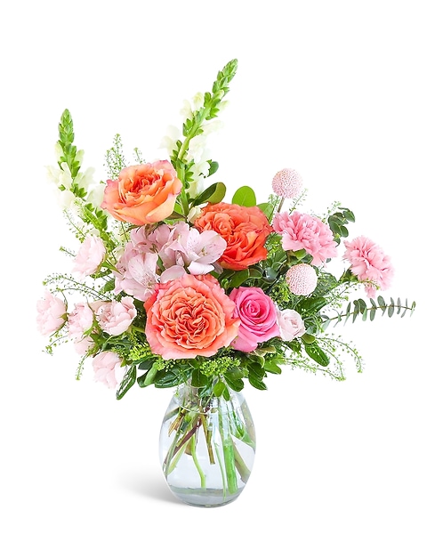 Flora