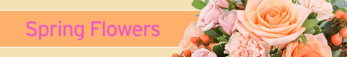 Spring Flowers Banner