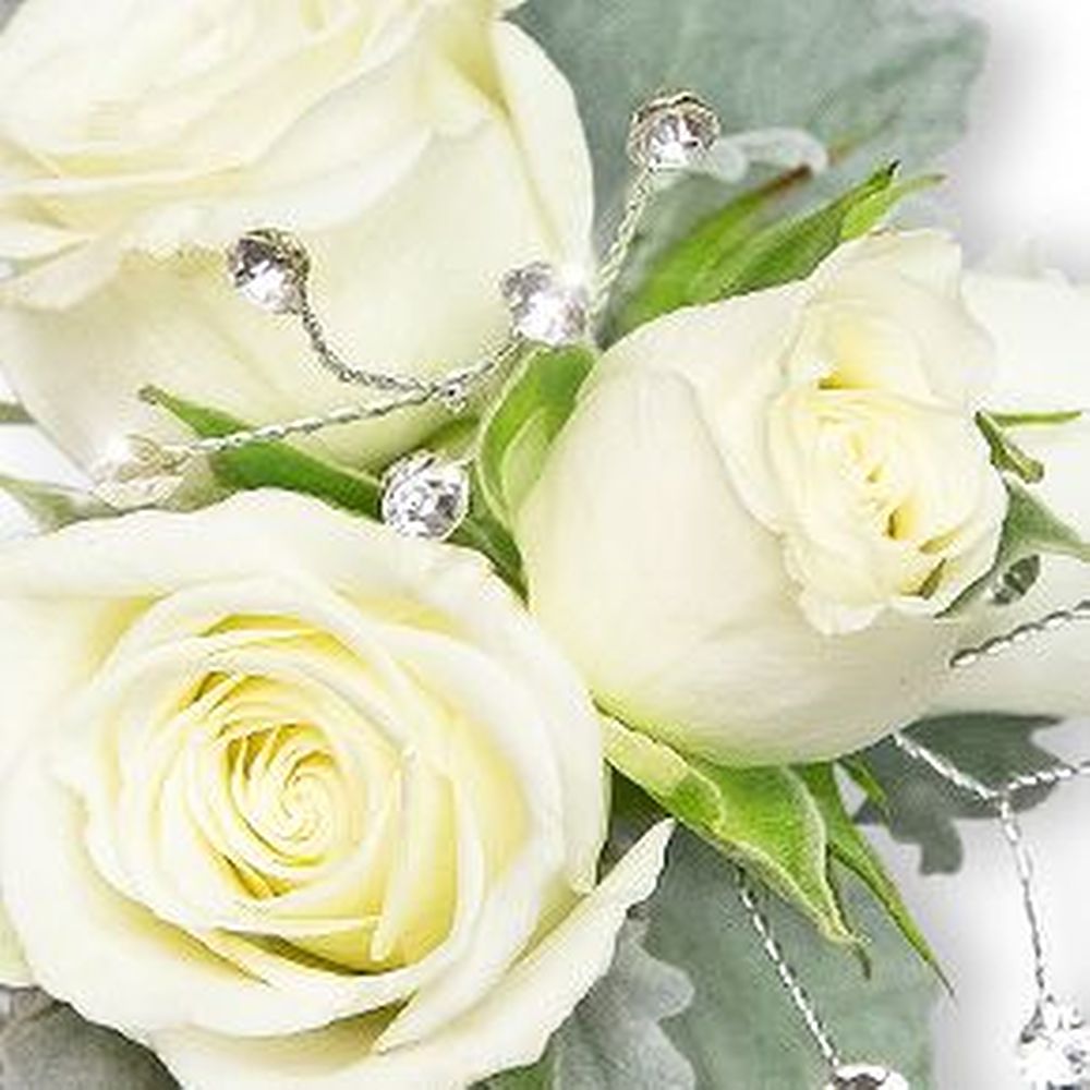 Virtue Corsage and Boutonniere Set in Scarborough ON