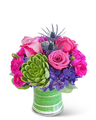 London Posh with Succulent