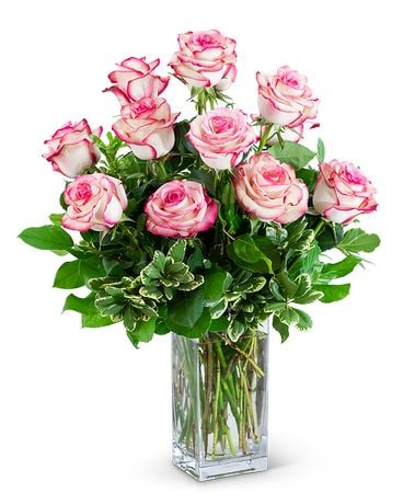 Paloma Roses (12) Flower Arrangement