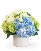Standard size, 12 inches height and 10 inches wide.