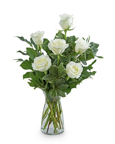 Standard size, 15 inches height and 9 inches wide.