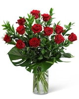 Standard size, 22 inches height and 16 inches wide.