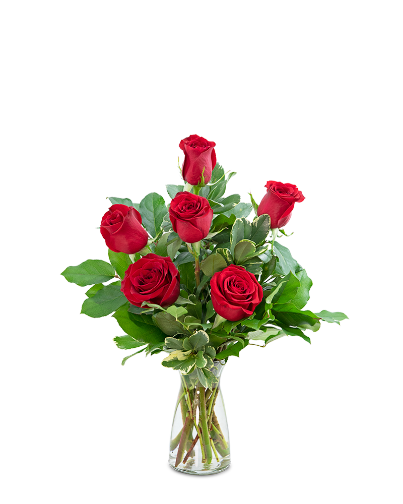 Red Roses (6) in Scarborough ON - Lavender Rose Flowers, Inc.