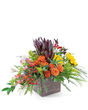 Aurora Moment Flower Arrangement