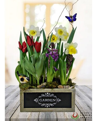 Spring Fling Dish Garden Plant