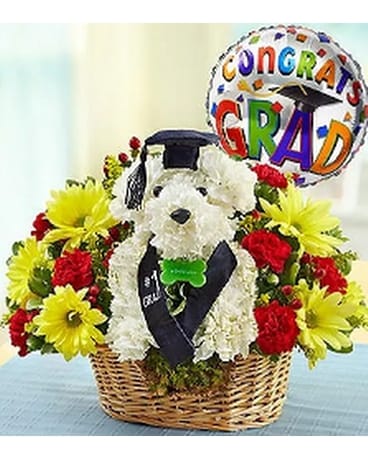Grad Pooch - by Blooms & Petals Fresh Flowers Flower Arrangement
