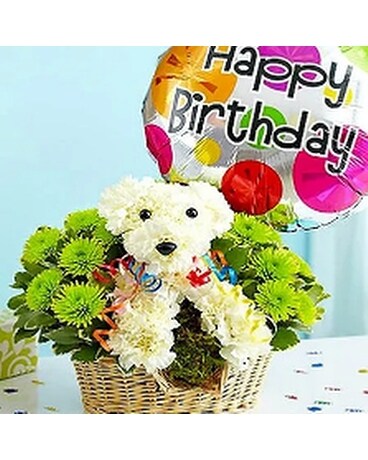 POOCH Happy Wishes Flower Arrangement