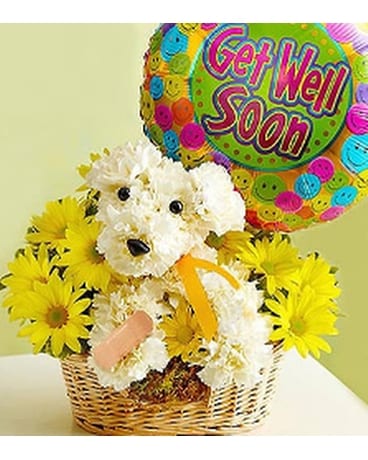 Sick as a Pooch - by Blooms & Petals Fresh Flowers Flower Arrangement