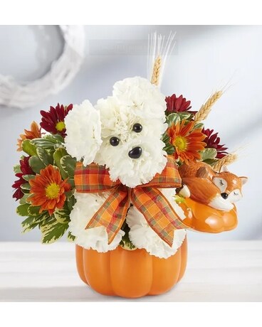 A Halloween Doggable Flower Arrangement