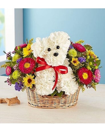 a-DOG-able® in a Basket Flower Arrangement