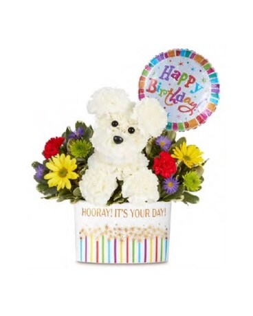 Party Pooch™ Flower Arrangement