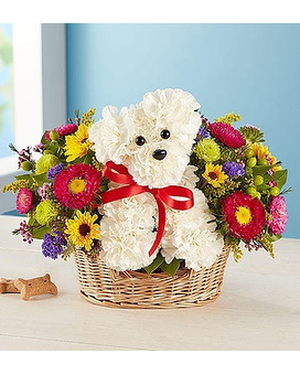 a-DOG-able® in a Basket Flower Arrangement
